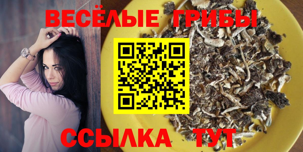 Богданович  как найти   Вход с VPN  Галлюциногенные грибы мицелий  Галлюциногенные грибы мицелий 