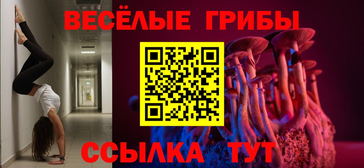 Псилоцибиновые грибы GOLDEN TEACHER Богданович